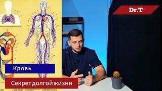 Как улучшить кровообращение? Профилактика. ИНСУЛЬТ.ИНФАРКТ. АТЕРОСКЛЕРОЗ. АНЕВРИЗМА.