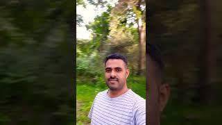 Nature 360