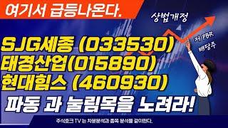 현대힘스,SJG세종,태경산업   상법개정, 저 PBR 종목및 조선  기자재 종목