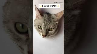 Realistic Cat Drawing Techniques  #shorts #art #viral