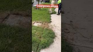 Another overgrown edgesI DO IT EVERYDAY!! #cleaning #overgrown #garden #mowing #edges #shortsvideo