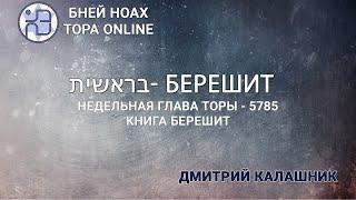 Недельная глава Торы - Парашат а-шавуа - "БЕРЕШИТ" 5785/2024. Дмитрий Калашник