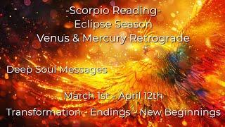 ️Scorpio | The Wheel Of Life Turns, Yielding Unexpected Outcomes!