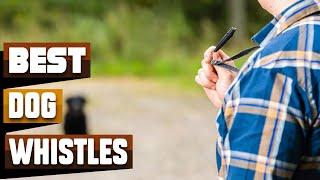 Best Dog Whistle In 2024 - Top 10 Dog Whistles Review