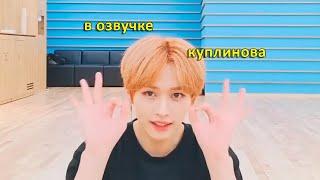 веселая нарезка (бродячих) детей | stray kids