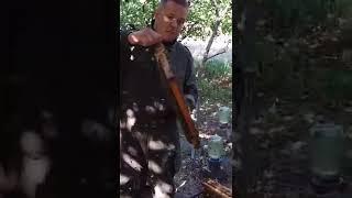 Воровство у пчёл #пчелы #пасека #мёд #shorts #bee