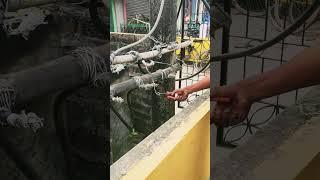 ||MARCOSRIDER|| ...24×7hour Duty  electrical technician