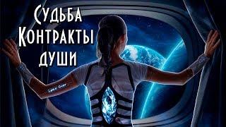Предрешено ли будущее: можем ли мы влиять на свою судьбу | Контракты души