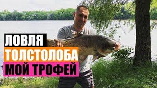ШОК! Я ЕГО ДОЖДАЛСЯ! ЛОВЛЯ ТОЛСТОЛОБА НА ПОПЛАВОК КАРПА 2020