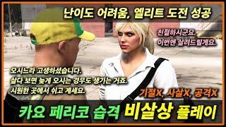 [카요 페리코 습격] 비살상 솔플 어려움 엘리트 성공 (기절X, 사살X, 공격X) - Cayo Perico Non-Lethal Finale