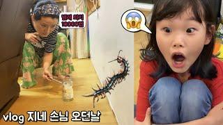 vlog 지네소탕 작전 라임이네 일상 브이로그 12시간 | 비빔면 먹방과 마인크래프트 쇼핑 | centipede eradication campaign