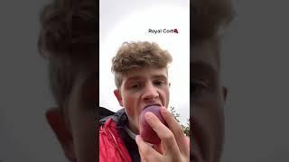 Eating only apples from an apple orchard! #shorts