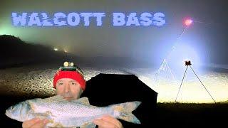 sea fishing Walcott north Norfolk beach shore angling day / night big bass on