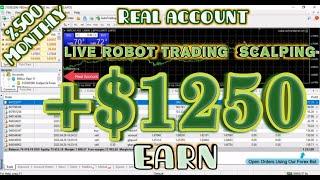 Best Forex Robot 2023 - Live Robot trading scalping +$1250 EARN TODAY