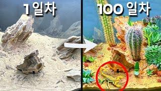 100일간의 사막 시뮬레이션