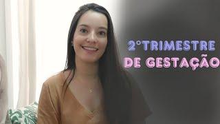 DIÁRIO DE GRAVIDEZ| RELATO 2°TRIMESTRE GESTAÇÃO, SINTOMAS, EXAMES E ROTINA