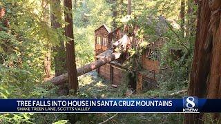 Tree crashes into home for sale in the Santa Cruz Mountains