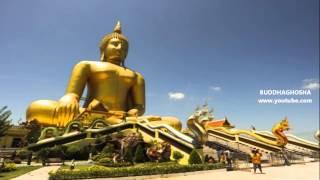 Largest Buddha statues in the world (top 10)