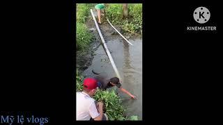 Cuối tuần tát ao bắt cá cùng anh em