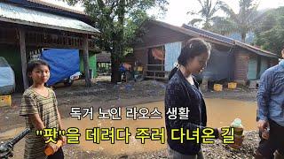 독거노인 라오스 생활기 / 어제는 "팟"을 집에 데려다 주면서