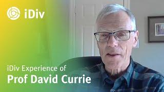 iDiv experience of Prof David Currie