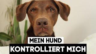 MEIN HUND KONTROLLIERT MICH