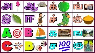 English Alphabet || A for Arrow || உயிர் எழுத்துக்கள் || மெய் எழுத்துக்கள் || க ங ச ஞ ட ண த ந ப ம