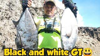 Black and white GT : Rock Fishing in Eastern Samar Philippines