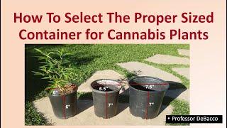 How To Select The Proper Sized Container for Cannabis Plants