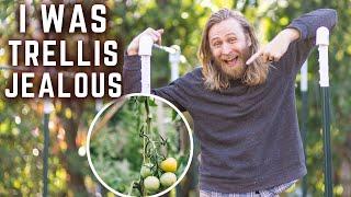 How to Build the ULTIMATE  TOMATO  TRELLIS