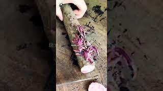 #harvesting #cropfarming #cutting #roots #cropfarming #trending #shorts #viral #vegetables