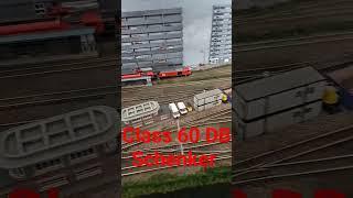 Class 60 DB Schenker (N Gauge)
