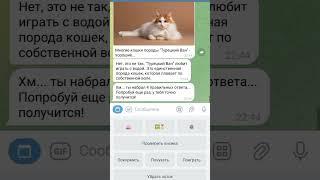 Обзор Котик Ботик  в телеграмме