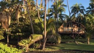 Hawaii Research Trip to Find New Location for Wright Family Farm