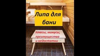 Липа для бани: изделия, виды, способы применения, всесторонний обзор