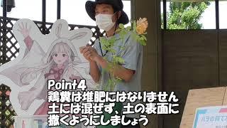 バラの育て方講習会（＃２）　正しい地植えと肥料の扱い方