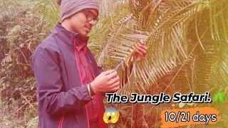 JUNGLE SAFARI | Family Travel Vlog to Jim Corbett | Aayu and Pihu Show