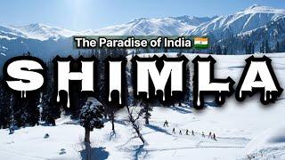 EP 1 - Shimla Best Places to Visit | Shimla Trip in December | Shimla Snowfall | Shimla Tour Plan