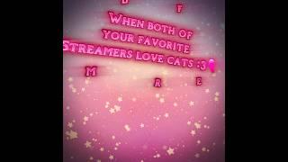 Always support cat lovers 🩷:3 #capcut #edit #computertimewithmiles #johnnyxstarlight