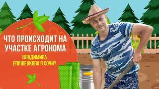 Что происходит на участке агронома Владимира?