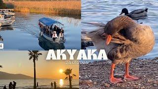 Akyaka 24.01.2024  Walking Around Town , Sunny day , Akyaka’da Güzel bir Gün  #akyaka #walkingtour