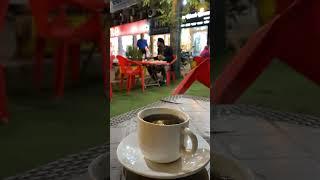 ١٣ نوفمبر، ٢٠٢٤