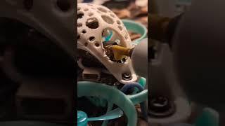 best mini indoor drone #fpvlife #fpvfamily #drone #fpvdronefootage #caddxfpv #tinywhoopfpv #dji