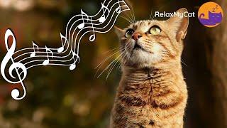 20 HOURS of Soothing Music for Cats to Relax (EXPERT MADE)