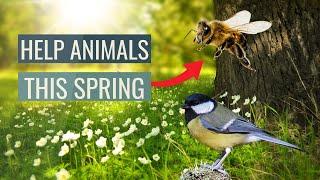 How To Help Animals This Spring