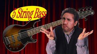 What's the deal with 5 string basses?