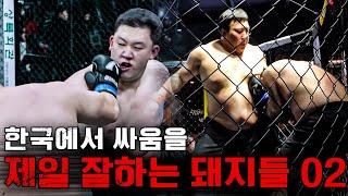 한국에서 싸움을 제일 잘하는 돼지들 [파이터100 빅맨 16강부터 결승까지 몰아보기]