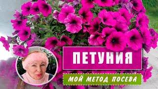 ПЕТУНИЯ Посев  моим методом