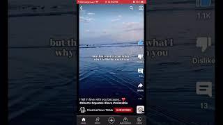 Love, one of the most important things in live @CreativeFlows Tiktok