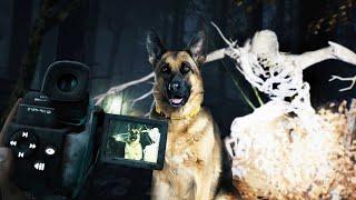FOCUS ON THE DOG! |4| BLAIR WITCH VR
